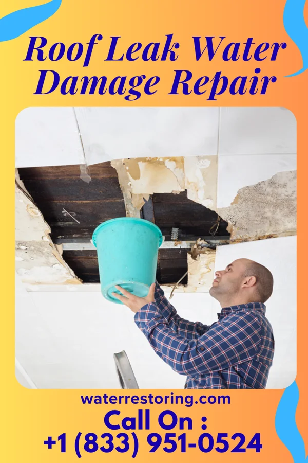 Roof Leak Water Damage Repair in Heartland, TX